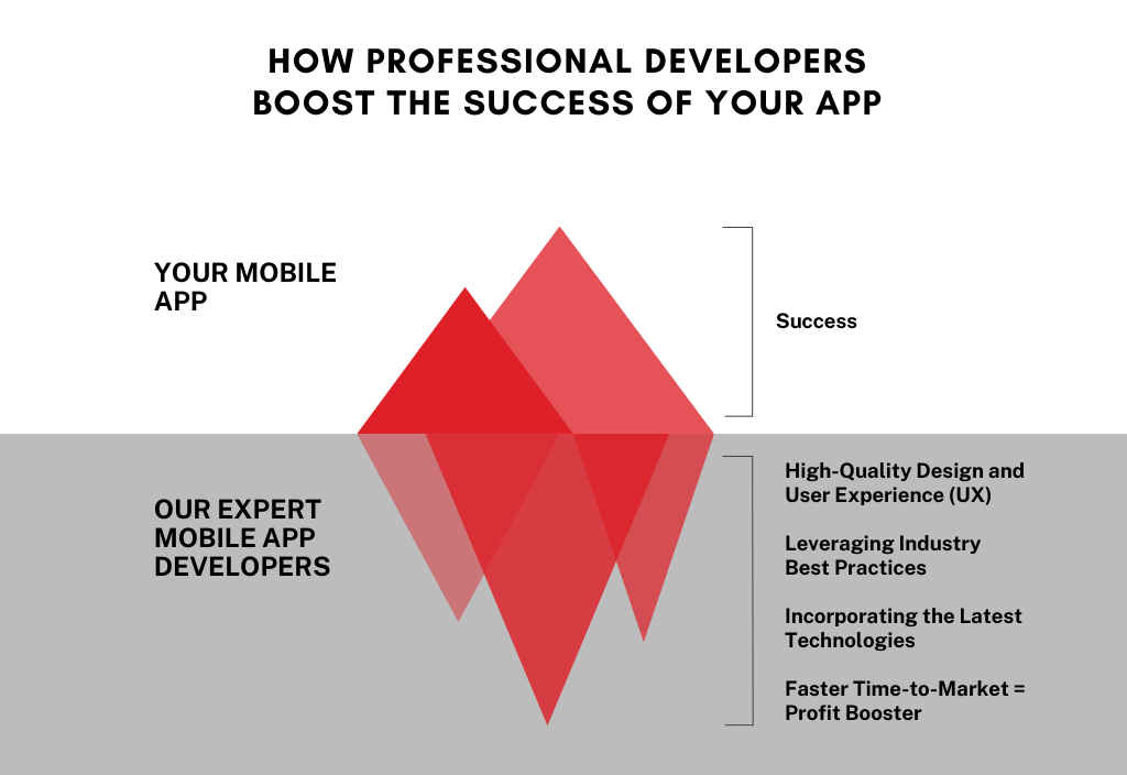 How Professional Developers Can Boost the Success of Your App